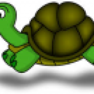 The Turtle