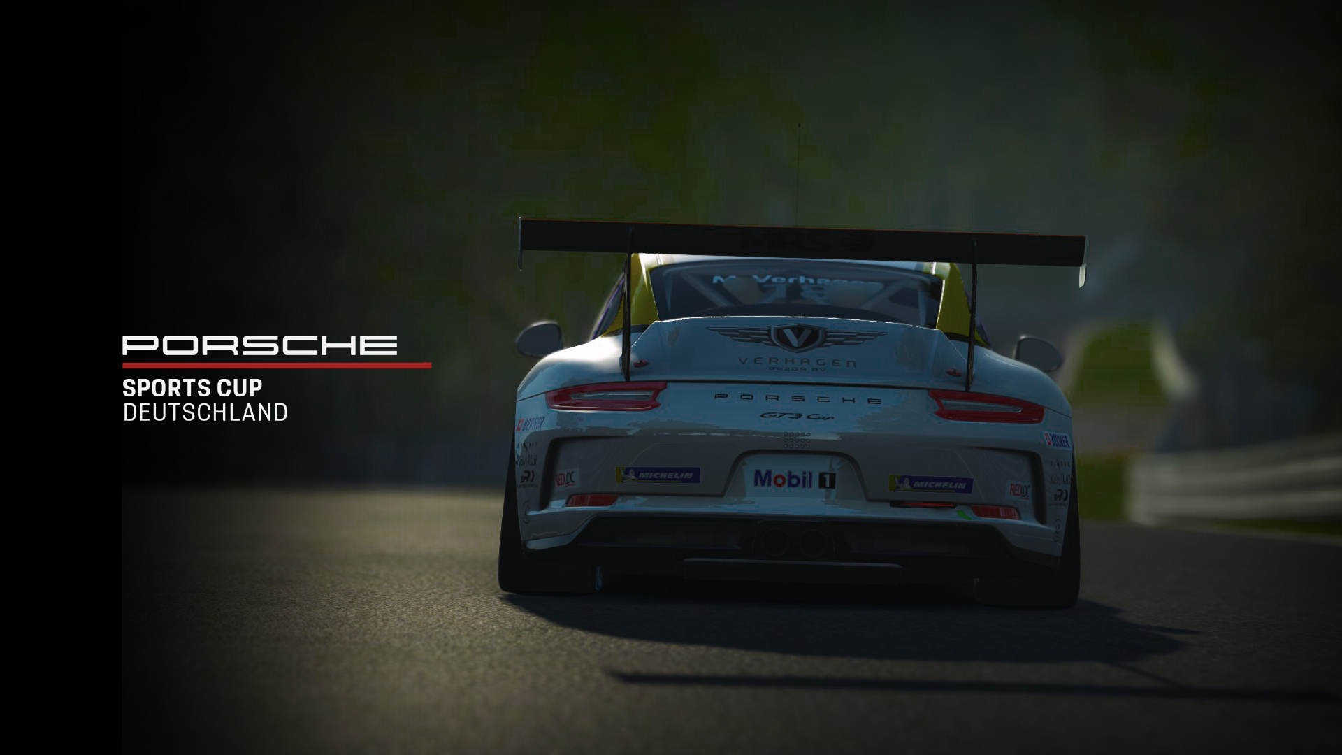 Porsche_GT3_Cup_14.jpg